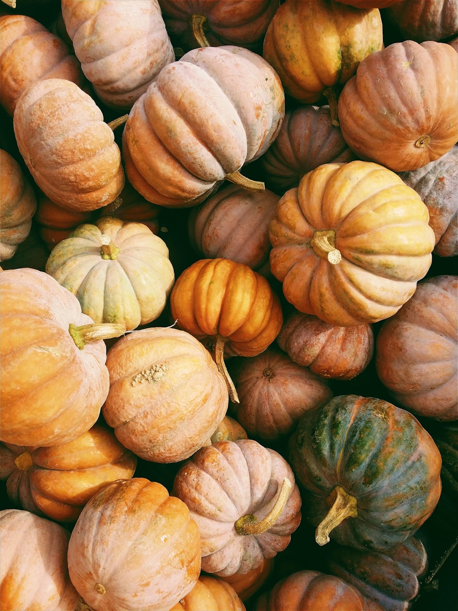 New WordPress Themes for October 2024 – The Perfect Opportunity for a Fresh Look!