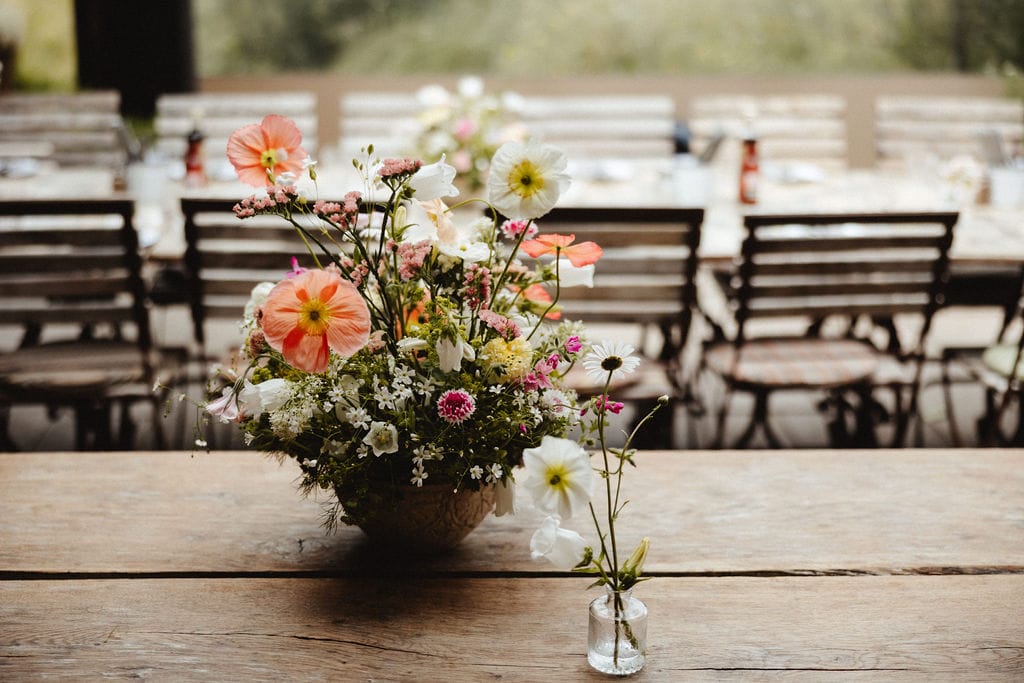Case Study: Creating a Sustainable Online Presence for Petalon with WordPress and WooCommerce